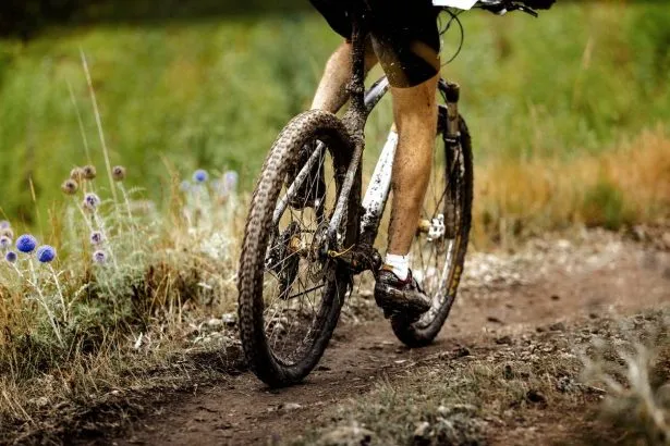 pratique vélo VTC magasin